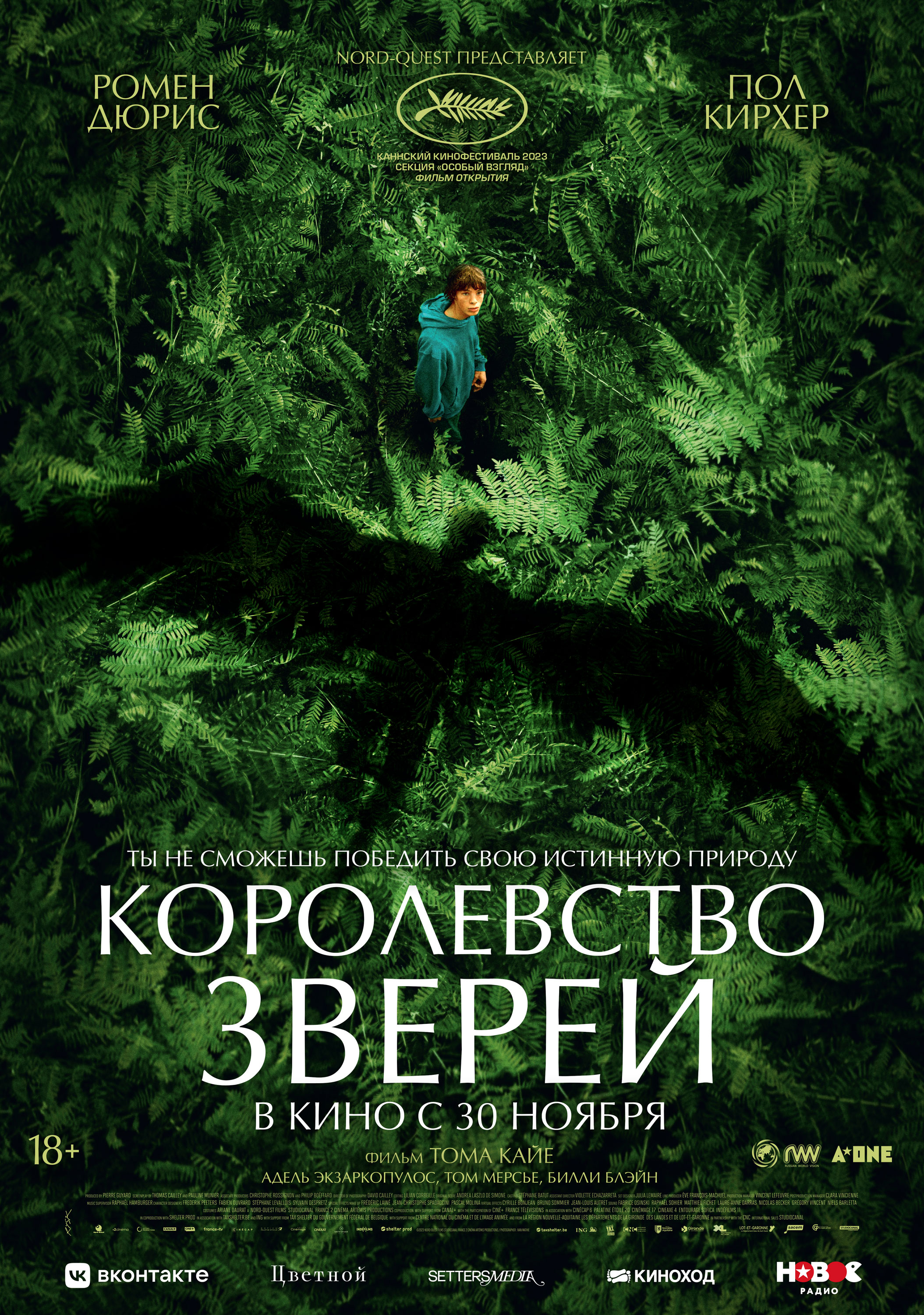 Королевство зверей Смотреть бесплатно онлайн в хорошем качестве бесплатно